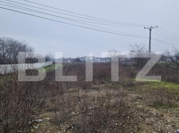 Teren de vânzare Malu Mare - 187913TV | BLITZ Craiova | Poza2