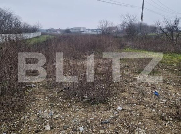 Teren de vânzare Malu Mare - 187913TV | BLITZ Craiova | Poza1