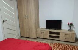 Garsoniera semidecomandata, etaj 1/4,Podul Electro, zona Lapus.