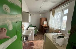 Camera de camin, 10.28 mp, zona Valea Rosie