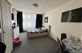 Garsoniera, 28 mp, Calea Bucuresti, zona Rotonda