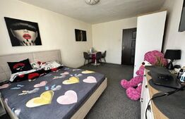 Garsoniera, 28 mp, Calea Bucuresti, zona Rotonda