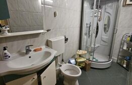 Spatiu comercial, 190 mp utili, zona Centrala