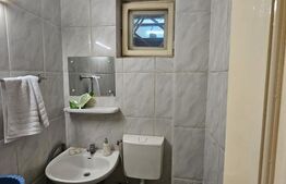 Spatiu comercial, 190 mp utili, zona Centrala