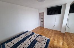 Garsoniera situata Ultracentral, zona KM 0 - 31 mp suprafata totala