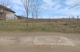 Teren intravilan, Malu Mare, 1469 mp, Aleea I Nucilor 