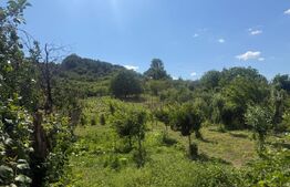 Casa  deosebita 280 mp utili, 2000 mp teren, zona Podari (schimb cu apartament )