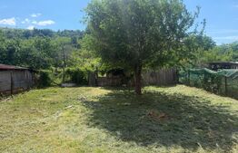 Casa  deosebita 280 mp utili, 2000 mp teren, zona Podari (schimb cu apartament )