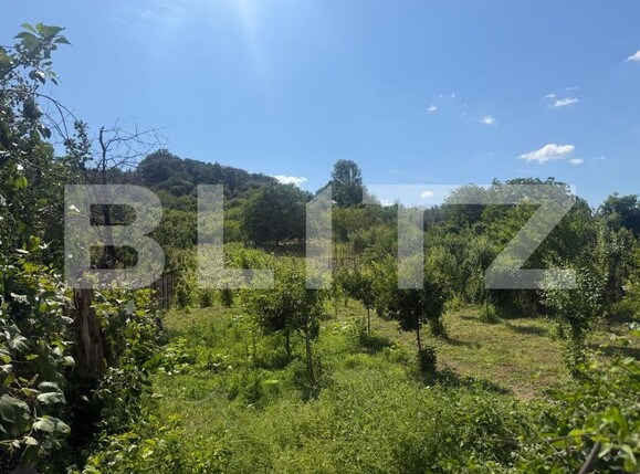 Casa de vânzare 5 camere Podari - 188069CV | BLITZ Craiova | Poza2