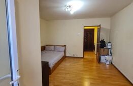 Garsoniera semidecomandata, 28 mp, zona Lapus