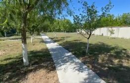 Casa deosebita S+P+E, 440 mp utili, 5000 mp teren, Malu Mare