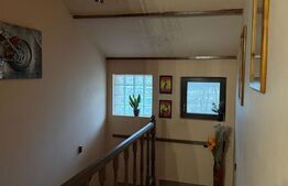 Casa deosebita S+P+E, 440 mp utili, 5000 mp teren, Malu Mare