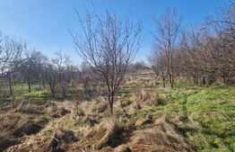 Teren 1528 mp cu casă de vânzare în centrul Gherceștiului — Investiție excelentă