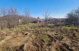 Teren 1528 mp cu casă de vânzare în centrul Gherceștiului — Investiție excelentă