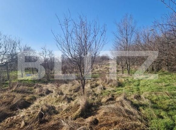 Teren de vânzare Ghercesti - 188140TV | BLITZ Craiova | Poza6
