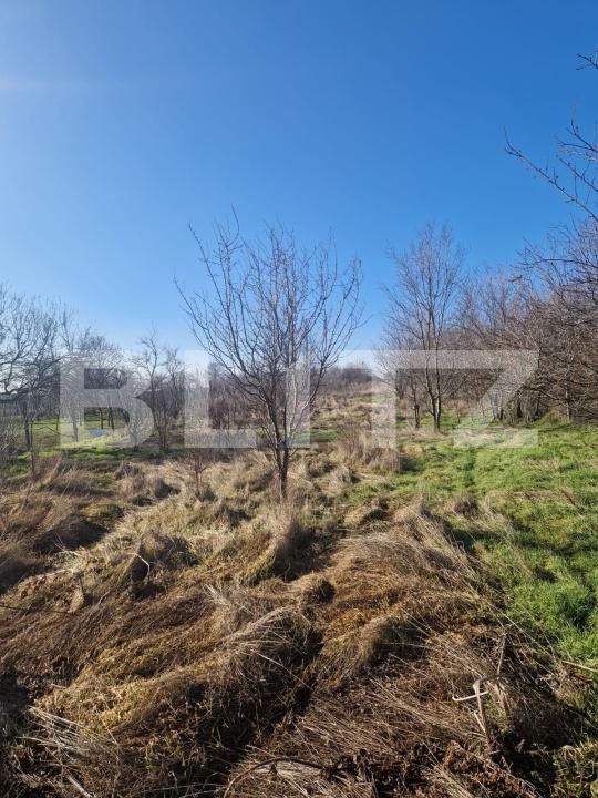 Teren de vânzare Ghercesti - 188140TV | BLITZ Craiova | Poza6