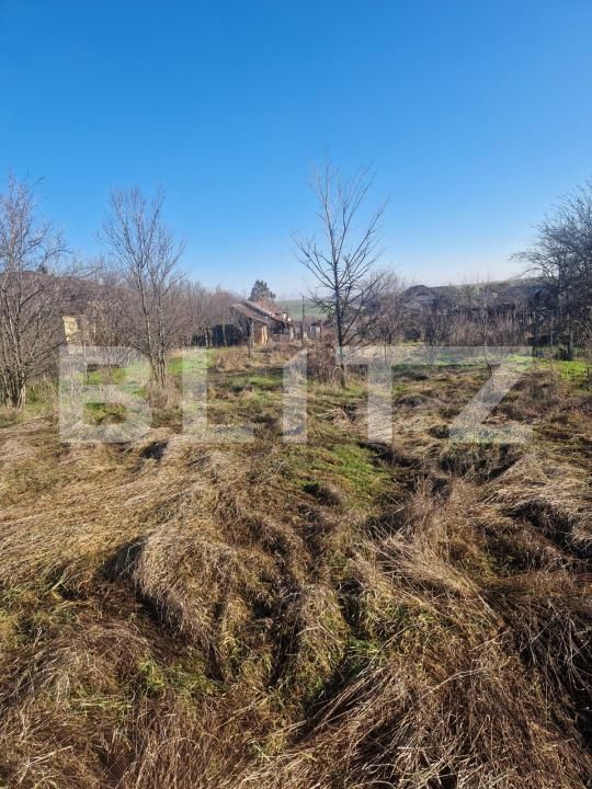 Teren de vânzare Ghercesti - 188140TV | BLITZ Craiova | Poza4