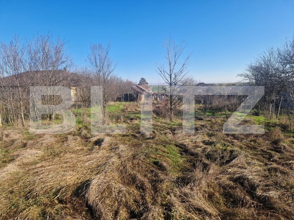 Teren de vânzare Ghercesti - 188140TV | BLITZ Craiova | Poza7