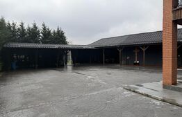 Casa 240 mp utili, 5000 mp teren + afacere la cheie, restaurant, zona Celaru