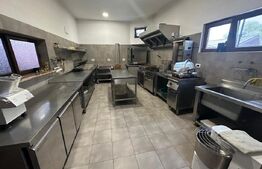 Casa 240 mp utili, 5000 mp teren + afacere la cheie, restaurant, zona Celaru