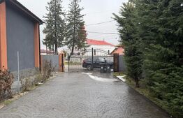 Casa 240 mp utili, 5000 mp teren + afacere la cheie, restaurant, zona Celaru