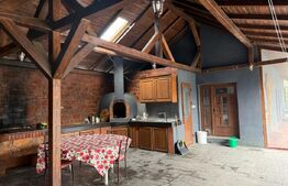 Casa 240 mp utili, 5000 mp teren + afacere la cheie, restaurant, zona Celaru