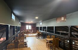 Casa 240 mp utili, 5000 mp teren + afacere la cheie, restaurant, zona Celaru