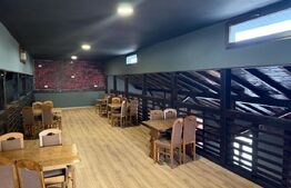 Casa 240 mp utili, 5000 mp teren + afacere la cheie, restaurant, zona Celaru