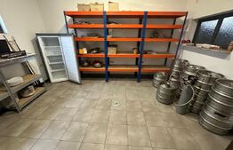 Casa 240 mp utili, 5000 mp teren + afacere la cheie, restaurant, zona Celaru