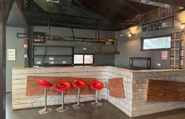 Casa 240 mp utili, 5000 mp teren + afacere la cheie, restaurant, zona Celaru