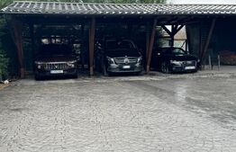 Casa 240 mp utili, 5000 mp teren + afacere la cheie, restaurant, zona Celaru