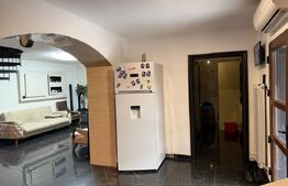 Casa 240 mp utili, 5000 mp teren + afacere la cheie, restaurant, zona Celaru
