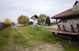 Proprietate multifuncțională, 1.850 mp utili, 23.750 mp teren, zona Brestei