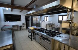 Proprietate multifuncțională, 1.850 mp utili, 23.750 mp teren, zona Brestei