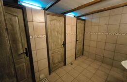 Proprietate multifuncțională, 1.850 mp utili, 23.750 mp teren, zona Brestei