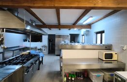 Proprietate multifuncțională, 1.850 mp utili, 23.750 mp teren, zona Brestei