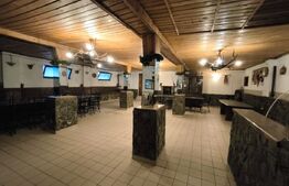 Proprietate multifuncțională, 1.850 mp utili, 23.750 mp teren, zona Brestei