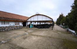 Proprietate multifuncțională, 1.850 mp utili, 23.750 mp teren, zona Brestei