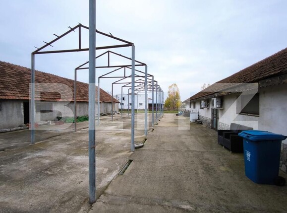 Spațiu comercial de vânzare Cernele - 188197SVC | BLITZ Craiova | Poza20