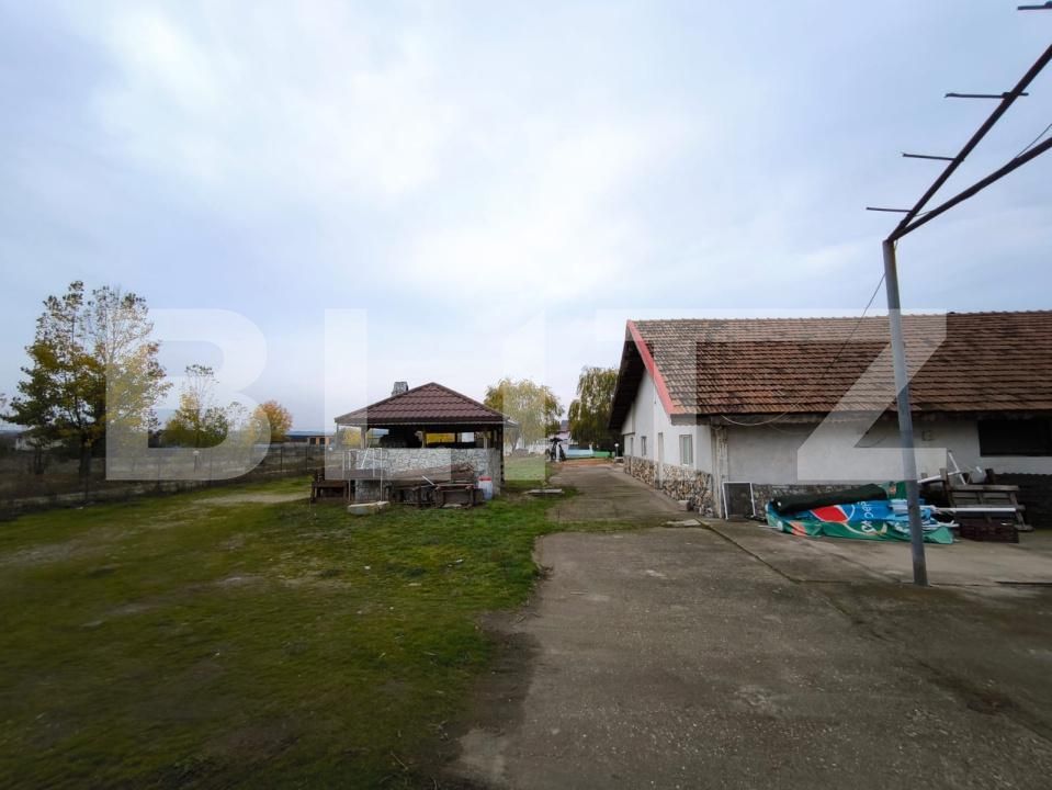 Spațiu comercial de vânzare Cernele - 188197SVC | BLITZ Craiova | Poza19