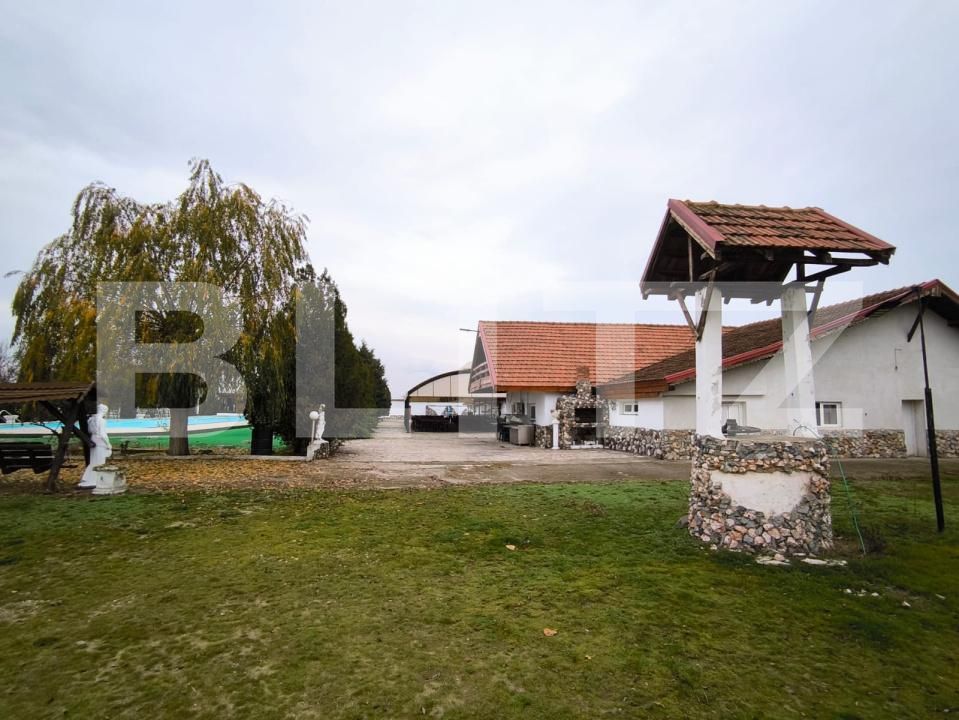 Spațiu comercial de vânzare Cernele - 188197SVC | BLITZ Craiova | Poza21