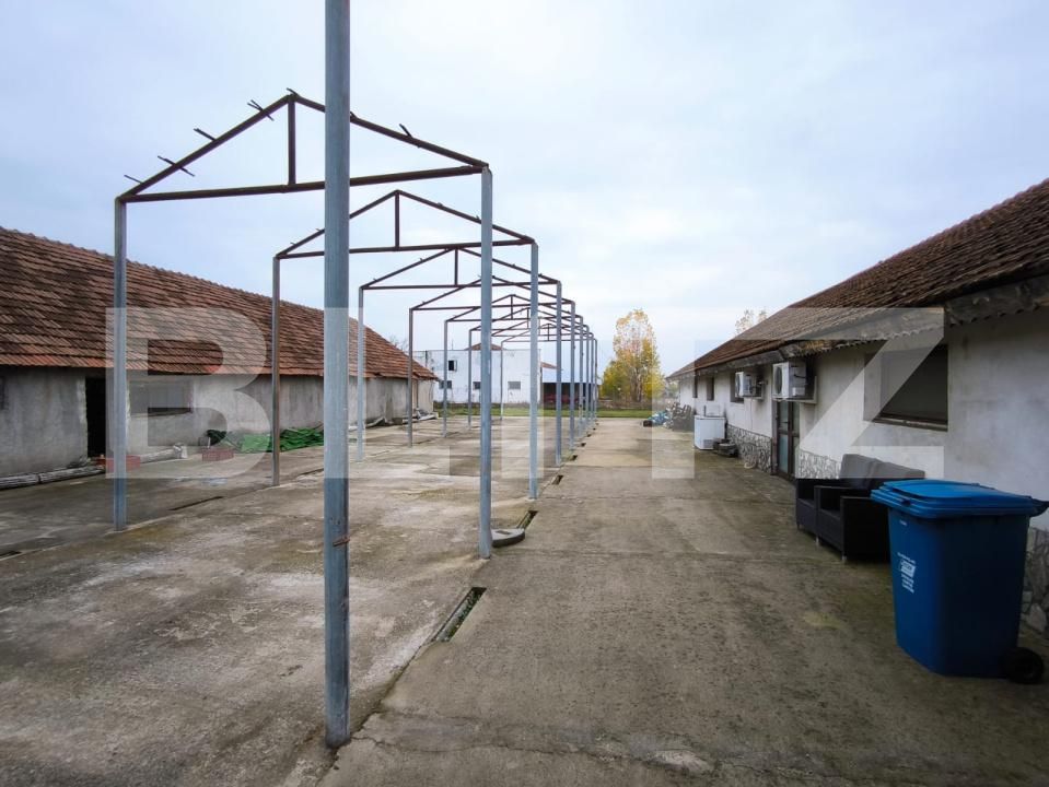 Spațiu comercial de vânzare Cernele - 188197SVC | BLITZ Craiova | Poza25