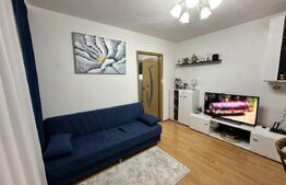 Apartament 2 camere, 28 mp, zona Piata Valea Rosie
