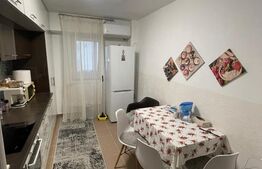 Apartament 2 camere, 61 mp, Calea Severinului - vis-a-vis de Promenada Mall 