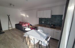 Apartament 2 camere, 40 mp, zona Damila Capsunarie 