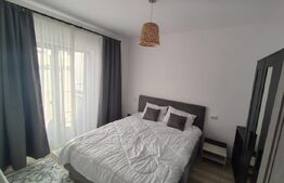Apartament 2 camere, 40 mp, zona Damila Capsunarie 