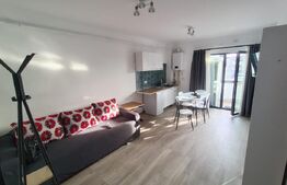 Apartament 2 camere, 40 mp, zona Damila Capsunarie 
