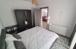 Apartament 2 camere, 40 mp, zona Damila Capsunarie 