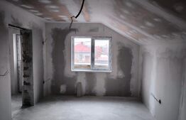 Casa P+M 80 mp utili, 230 mp teren, zona Lascar Catargiu