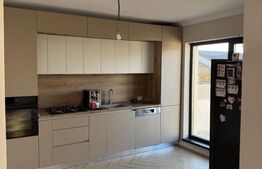 Casa parter, 3 dormitoare, 260 mp teren, toate utilitatile, Damila